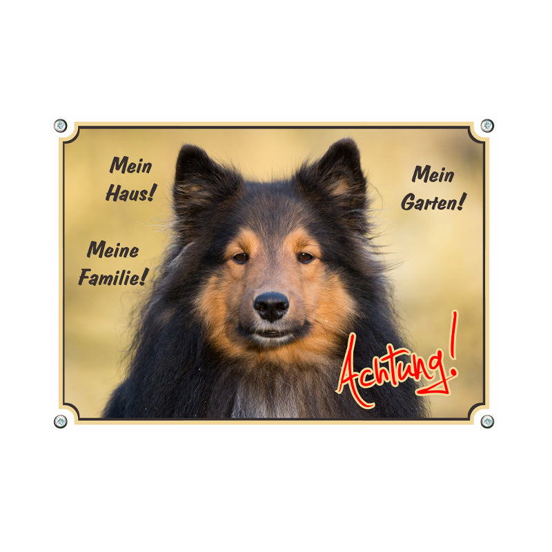 Shetland Sheepdog (Sheltie) - Mein Haus Mein Garten Meine Familie