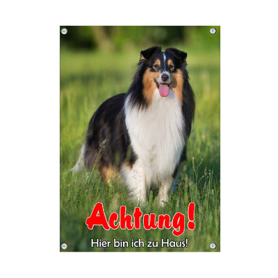 Shetland Sheepdog (Sheltie) - Hier bin ich – Hundeschild aus Aluminium