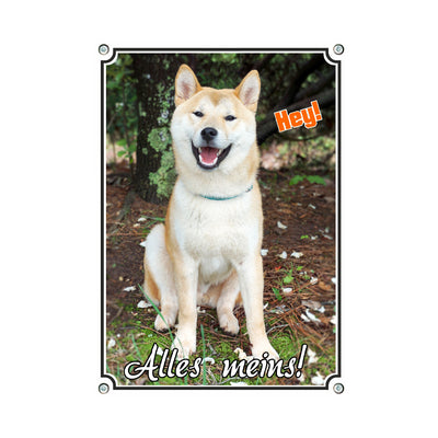 Shiba inu - alles meins – Hundeschild aus Aluminium