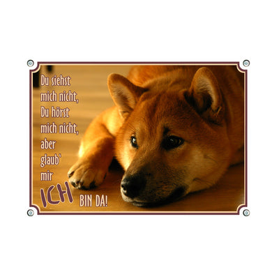 Shiba inu - Ich bin da – Hundeschild aus Aluminium