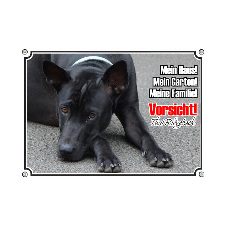 Thai Ridgeback - Mein Haus Mein Garten meine Familie