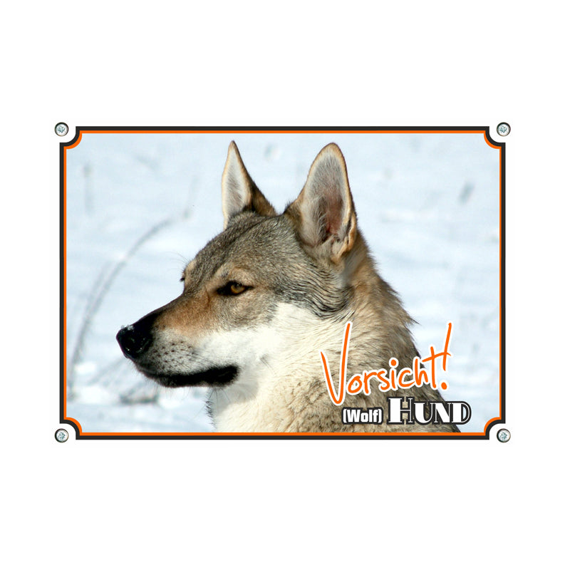 Tschechoslowakischer Wolfshund - Vorsicht