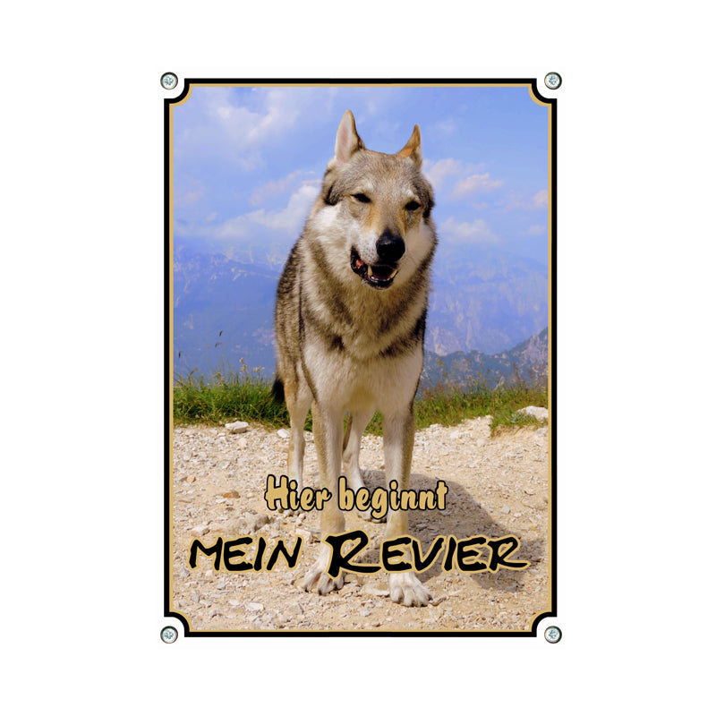 Tschechoslowakischer Wolfshund - Mein Revier