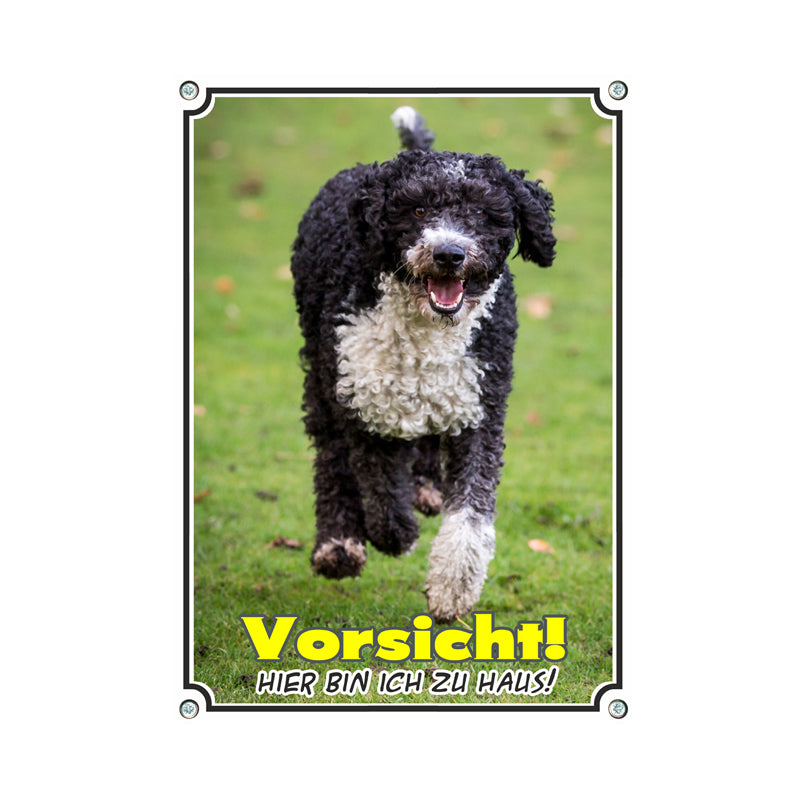 Wasserhund - Vorsicht hier bin ich