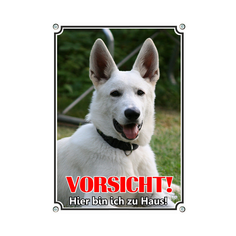 Weisser Schäferhund - Vorsicht hier