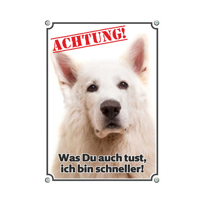 Weißer Schäferhund - Achtung bin schneller – Hundeschild aus Aluminium