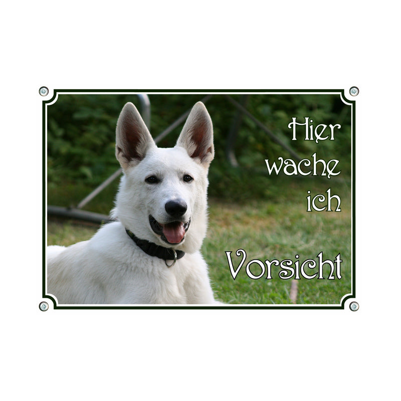 Weißer Schäferhund - Vorsicht - Hier wache ich