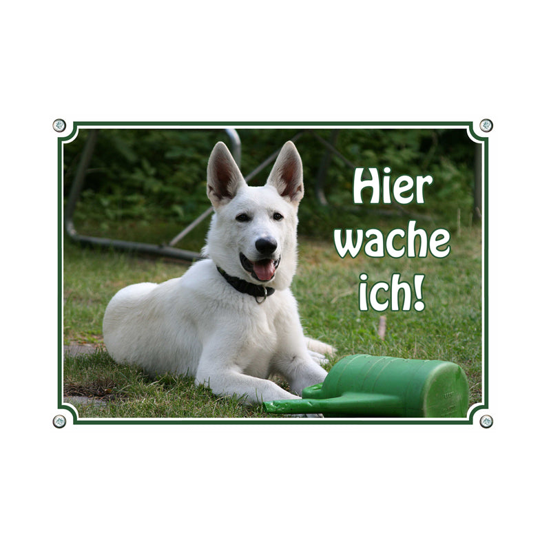 Weißer Schäferhund - Hier wache ich