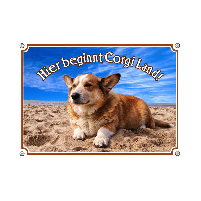 Welsh Corgi Pembroke - Hier beginnt