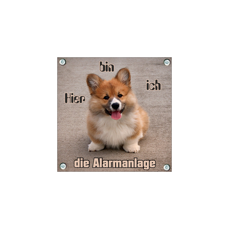 Welsh Corgi Pembroke - Alarmanlage
