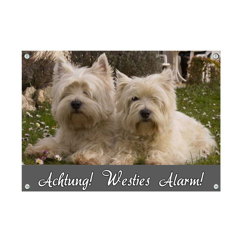 West Highland White Terrier
