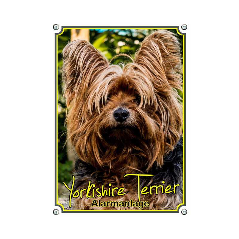 Yorkshire Terrier - Alarmanlage