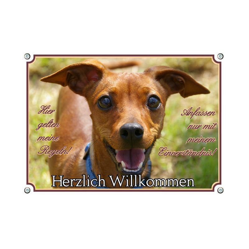 Zwergpinscher - Herzlich Willkommen