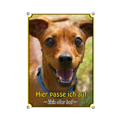 Zwergpinscher - Hier passe ich auf – Hundeschild aus Aluminium