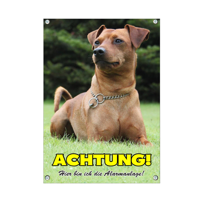 Zwergpinscher - Achtung