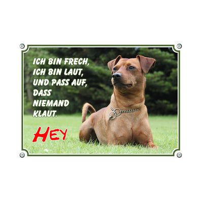 Zwergpinscher - Hey – Hundeschild aus Aluminium