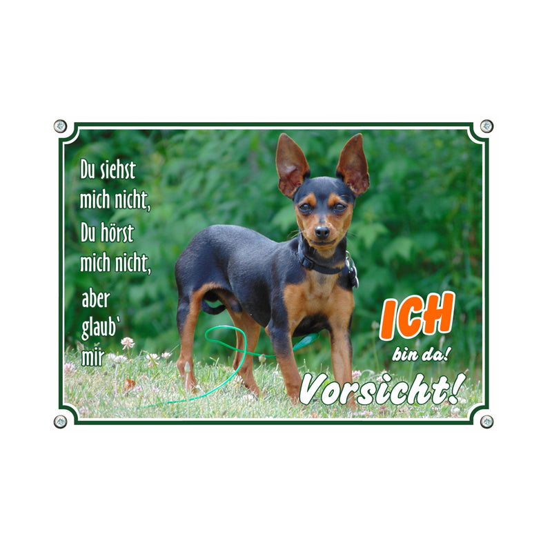 Zwergpinscher - Ich bin da