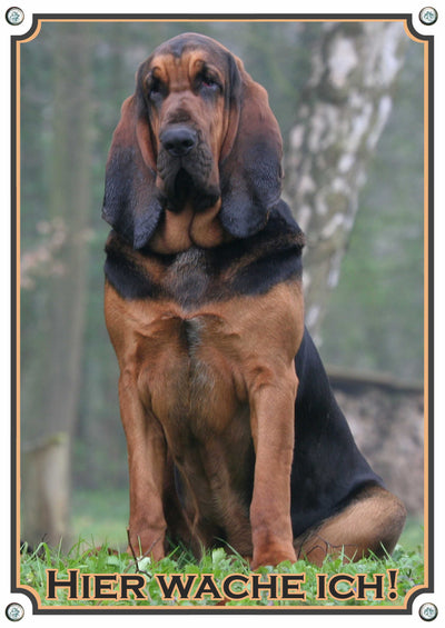 Bloodhound - Hier wache ich – Hundeschild aus Aluminium