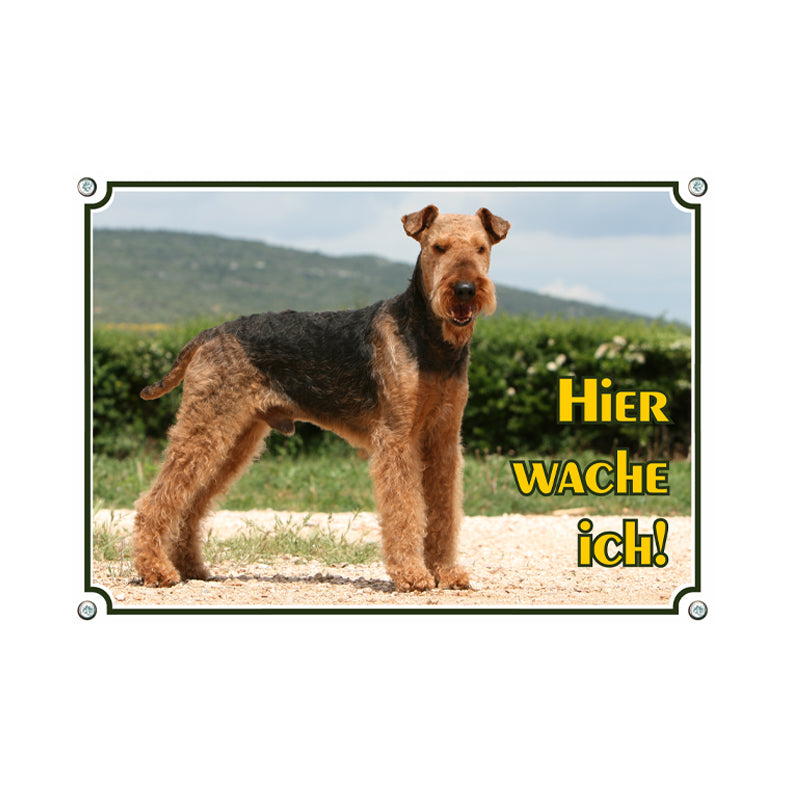 Airedale - Hier wache ich