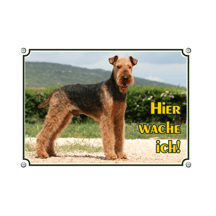 Airedale - Hier wache ich