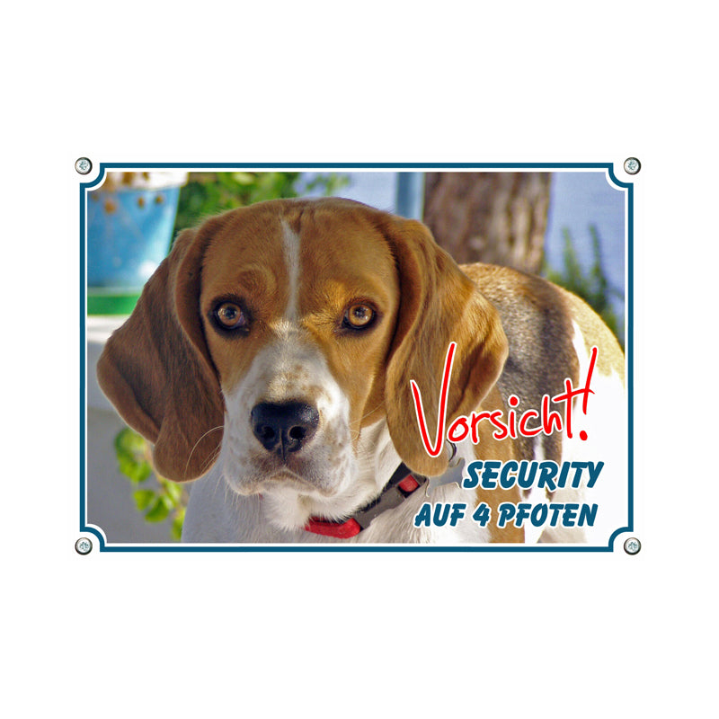 Beagle - Security