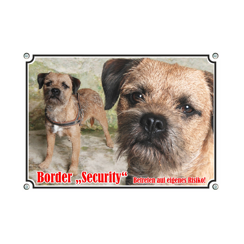 Border Terrier - Security