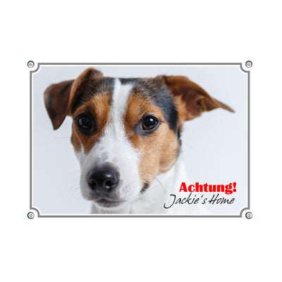 Jack Russell Terrier - Jack's Home