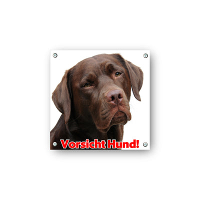 Labrador Retriever - Vorsicht Hund