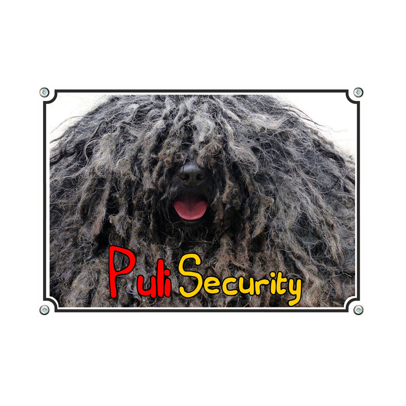 Puli - Puli Security