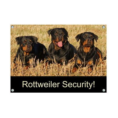 Rottweiler - Security